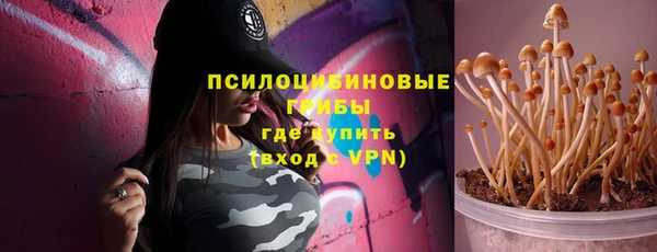не бодяженный Аркадак