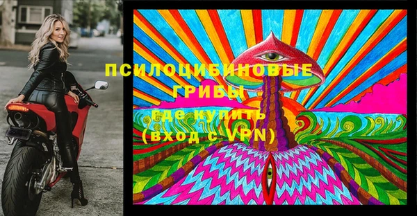 не бодяженный Аркадак