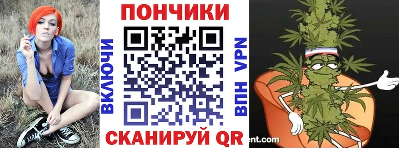 Шишки марихуана семена  где найти наркотики  Свирск 